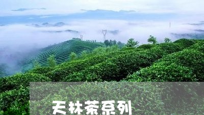 天林茶系列/2023090227260