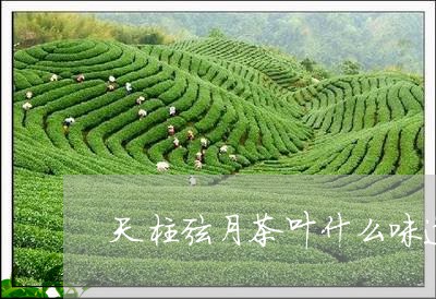 天柱弦月茶叶什么味道/2023092372634