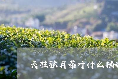 天柱弦月茶叶什么档次/2023061118362