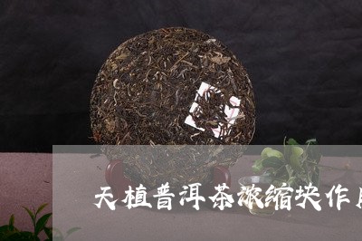 天植普洱茶浓缩块作用/2023073144716