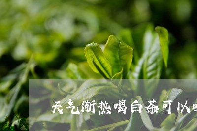 天气渐热喝白茶可以吗/2023092879504