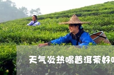 天气炎热喝普洱茶好吗冬天/2023082960636