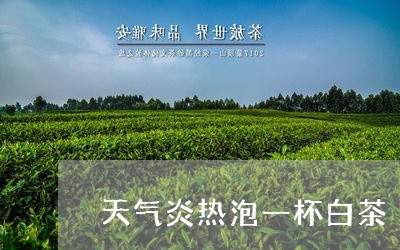 天气炎热泡一杯白茶/2023121875371