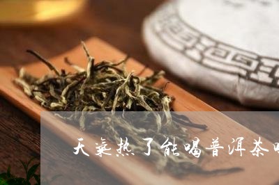 天气热了能喝普洱茶吗/2023072336048