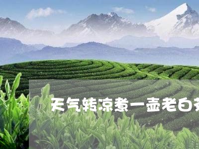 天气转凉煮一壶老白茶/2023092887471