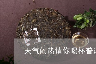 天气闷热请你喝杯普洱茶/2023082511493