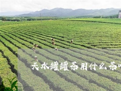 天水罐罐茶用什么茶叶/2023061025938