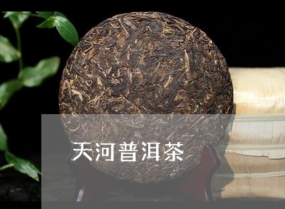 天河普洱茶/2023090584936