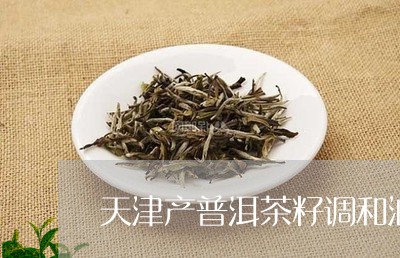 天津产普洱茶籽调和油/2023061543918