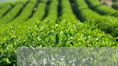 天津卖茶叶/2023090211512