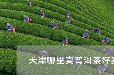 天津哪里卖普洱茶好卖些/2023121535369