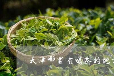 天津哪里有喝茶的地方/2023071589381