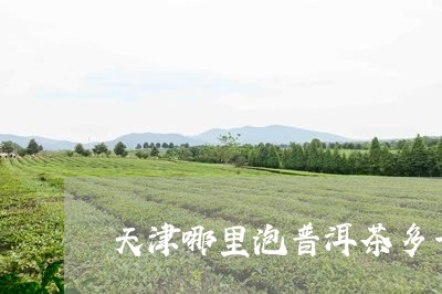 天津哪里泡普洱茶多一点/2023050557068