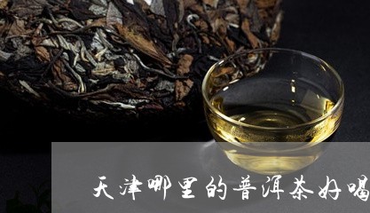 天津哪里的普洱茶好喝/2023100819482