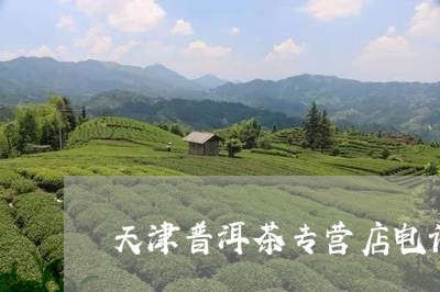 天津普洱茶专营店电话地址/2023082809583