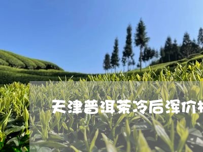 天津普洱茶冷后浑价格/2023073104036