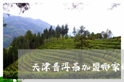 天津普洱茶加盟哪家好/2023061460504