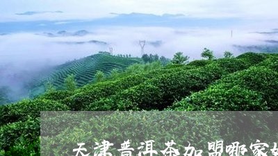 天津普洱茶加盟哪家好/2023092592738