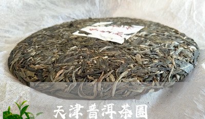 天津普洱茶圈/2023042790706