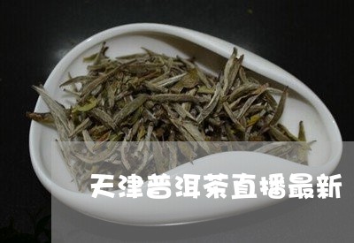 天津普洱茶直播最新/2023112777269