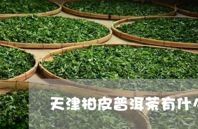 天津柑皮普洱茶有什么用途/2023082548281