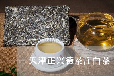 天津正兴德茶庄白茶/2023121857260