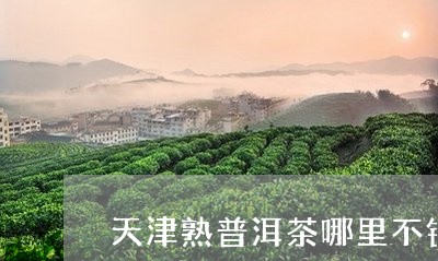 天津熟普洱茶哪里不错/2023100826160