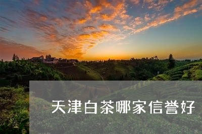 天津白茶哪家信誉好/2023071627315