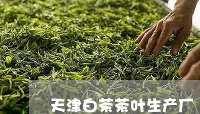 天津白茶茶叶生产厂/2023121807251
