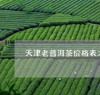 天津老普洱茶价格表大全/2023082789481