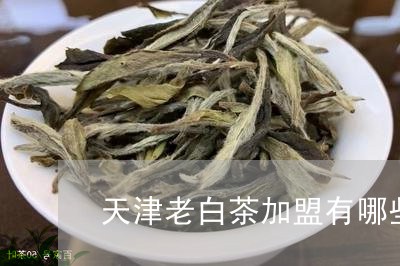 天津老白茶加盟有哪些/2023092803737