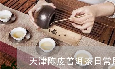 天津陈皮普洱茶日常用法/2023112837161