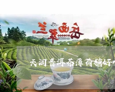 天润普洱茶薄荷糖好喝吗/2023082516250