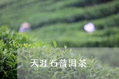 天涯石普洱茶/2023101693917