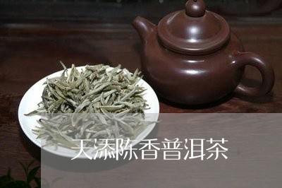 天添陈香普洱茶/2023110535828