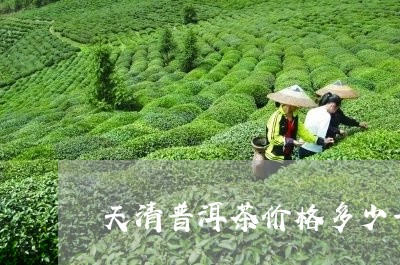 天清普洱茶价格多少一斤/2023112773371