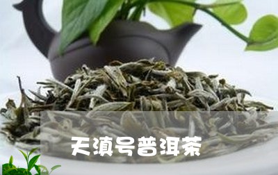 天滇号普洱茶/2023042525870