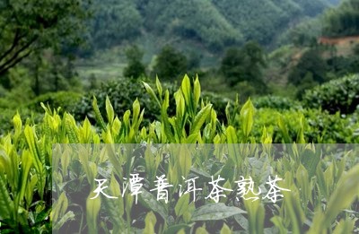 天潭普洱茶熟茶/2023102605472