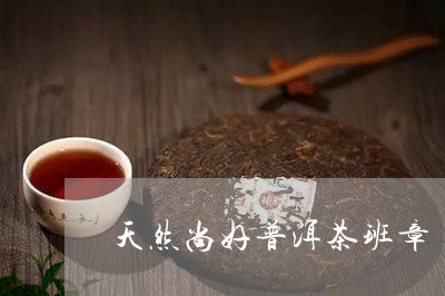 天然尚好普洱茶班章/2023071081493