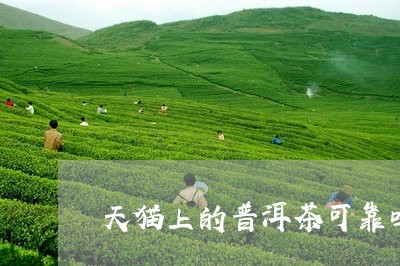 天猫上的普洱茶可靠吗/2023092983126