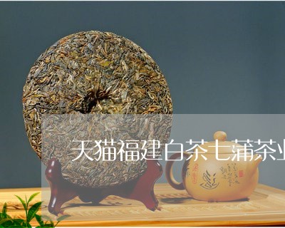 天猫福建白茶七蒲茶业/2023092856259