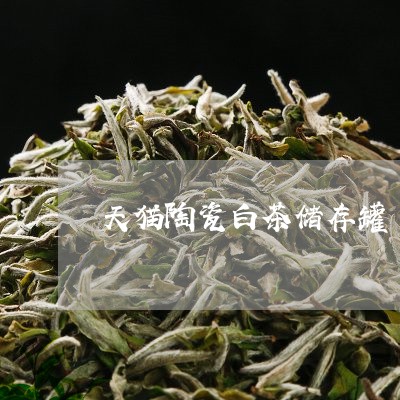 天猫陶瓷白茶储存罐/2023121802716