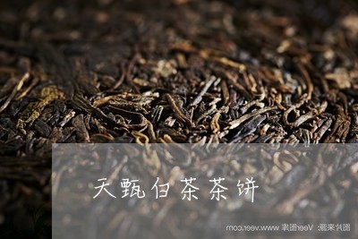 天甄白茶茶饼/2023082693026