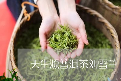 天生源普洱茶刘雪兰/2023120496149