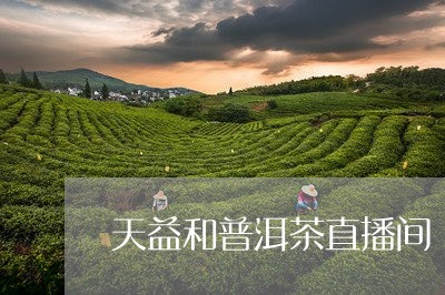 天益和普洱茶直播间/2023120561817