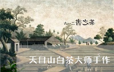 天目山白茶大师手作/2023071694149