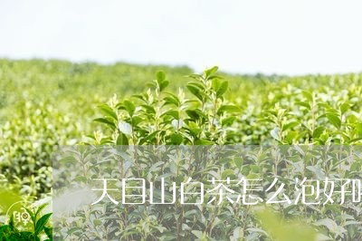 天目山白茶怎么泡好喝/2023092828160