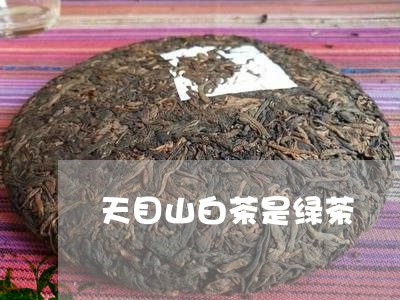 天目山白茶是绿茶/2023061737714