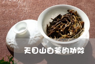 天目山白茶的功效/2023061729271