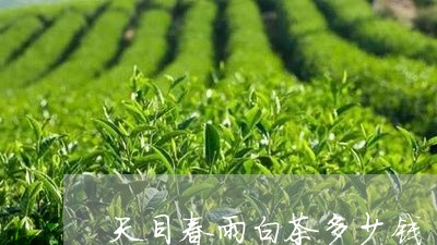 天目春雨白茶多少钱/2023081492804